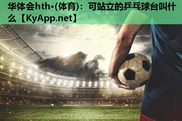 华体会hth·(体育)：可站立的乒乓球台叫什么