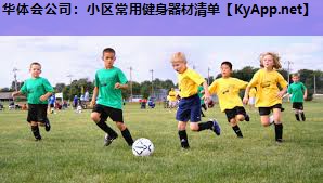 华体会公司：小区常用健身器材清单