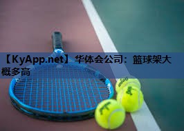 华体会公司：篮球架大概多高