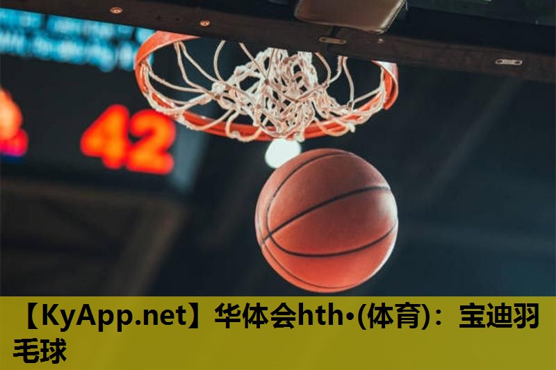 华体会hth·(体育)：宝迪羽毛球