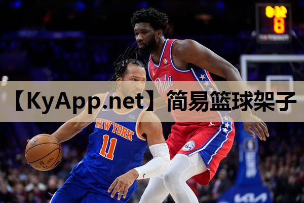 简易篮球架子