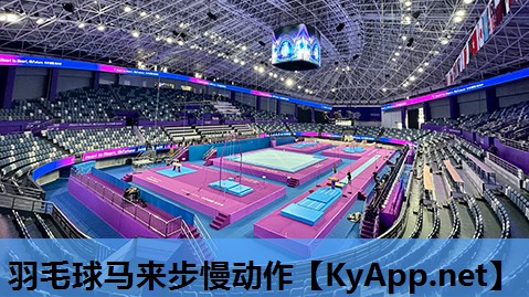 羽毛球马来步慢动作