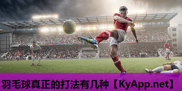 羽毛球真正的打法有几种