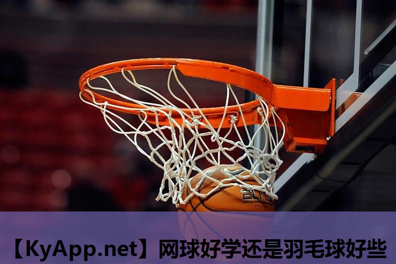网球好学还是羽毛球好些
