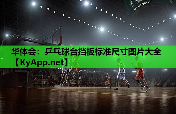 华体会：乒乓球台挡板标准尺寸图片大全