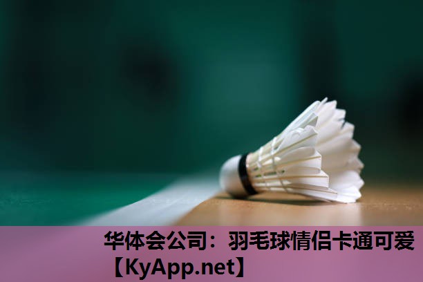 羽毛球情侣卡通可爱