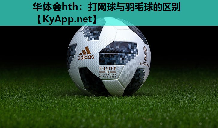 打网球与羽毛球的区别 打网球与羽毛球的区别