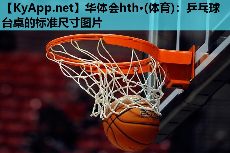 乒乓球台桌的标准尺寸图片 乒乓球台桌的标准尺寸图片