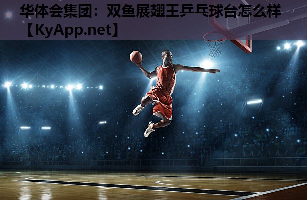 双鱼展翅王乒乓球台怎么样 双鱼展翅王乒乓球台怎么样