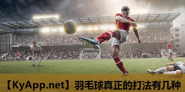 羽毛球真正的打法有几种 羽毛球真正的打法有几种