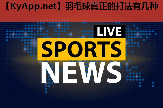 羽毛球真正的打法有几种 羽毛球真正的打法有几种
