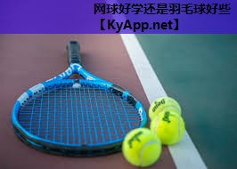网球好学还是羽毛球好些 网球好学还是羽毛球好些