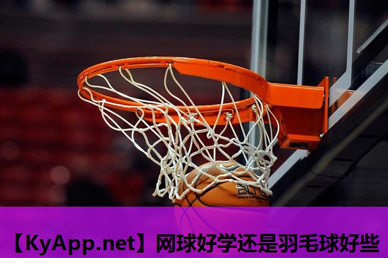 网球好学还是羽毛球好些 网球好学还是羽毛球好些