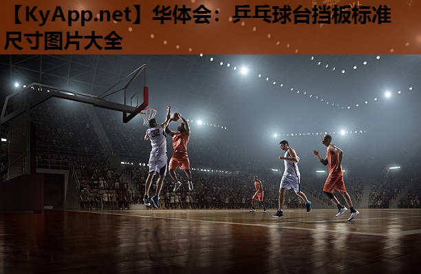 乒乓球台挡板标准尺寸图片大全 乒乓球台挡板标准尺寸图片大全